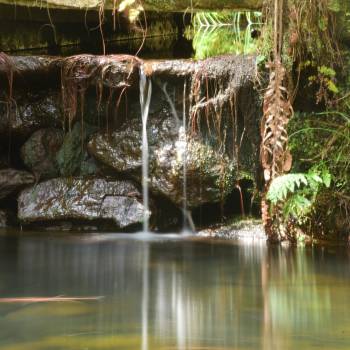 Viagem Fotográfica para Campos do Jordão/SP (Serra da Mantiqueira).