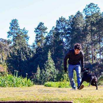Viagem Fotográfica para Campos do Jordão/SP (Serra da Mantiqueira).