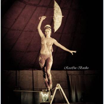 Passeio Fotográfico no Circo Gold Star - Aracaju/SE.