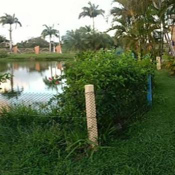 Passeio Fotográfico para o Parque da Sementeira, Aracaju/SE.